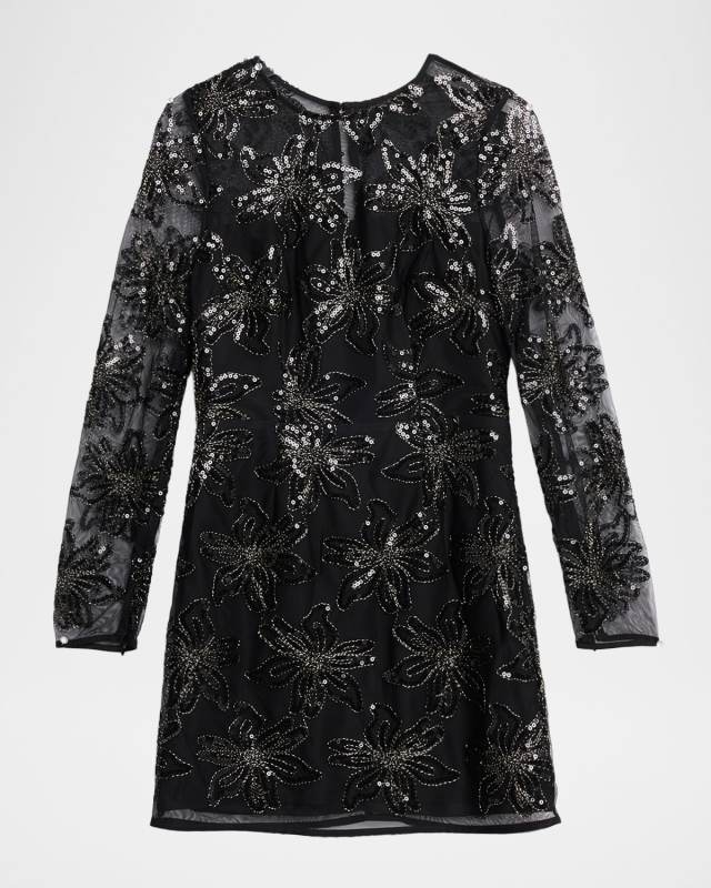 Adele Embroidered Mesh Long-Sleeve Mini Dress
